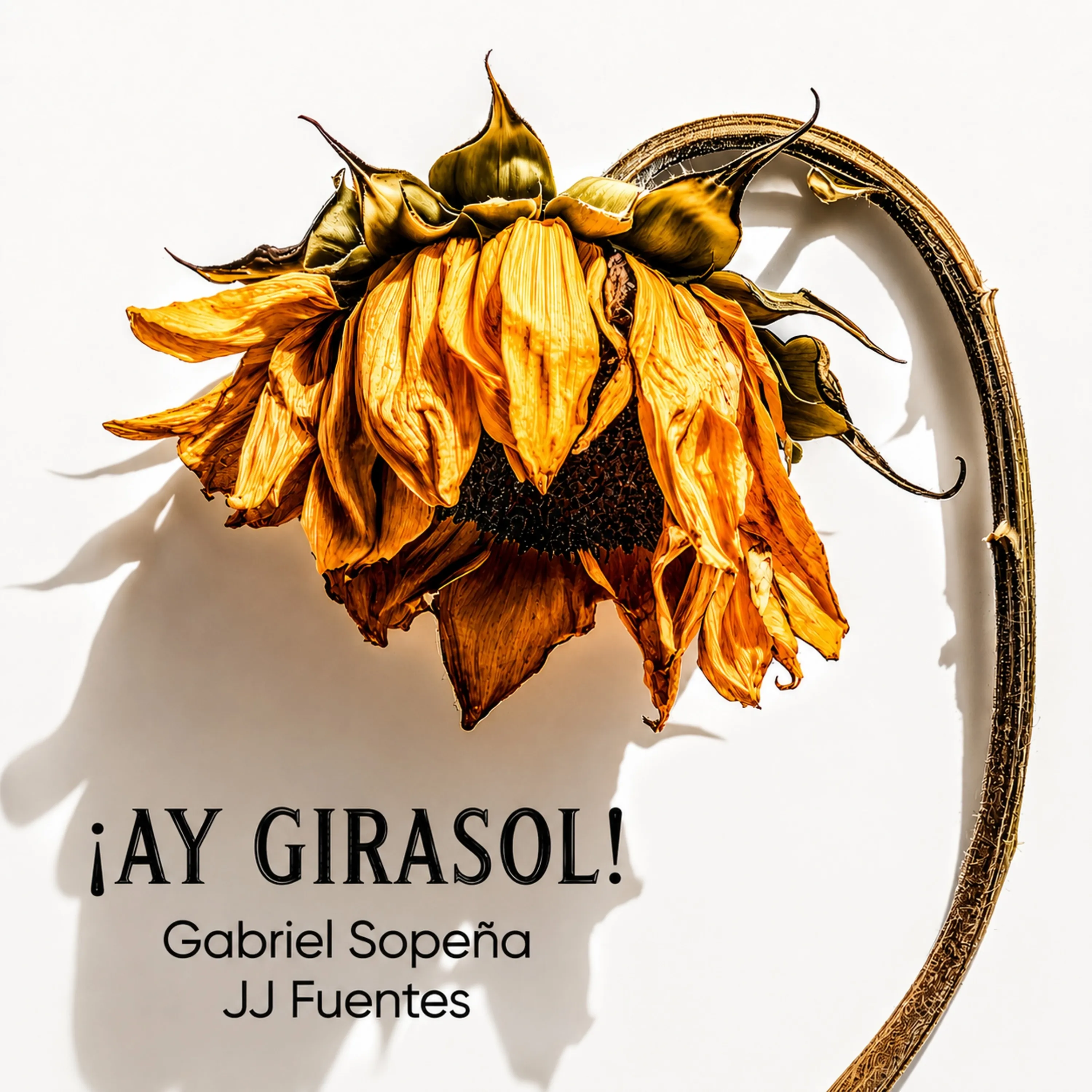 Portada de ¡Ay Girasol!